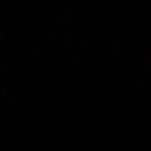 Meet your Posher, Elisabeth